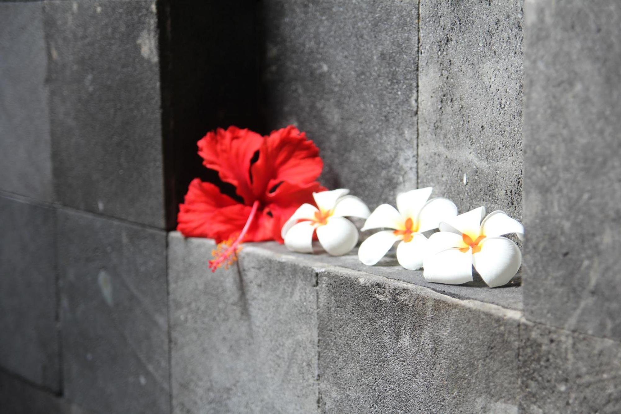 Bali Marina Villa'S Amed Zimmer foto